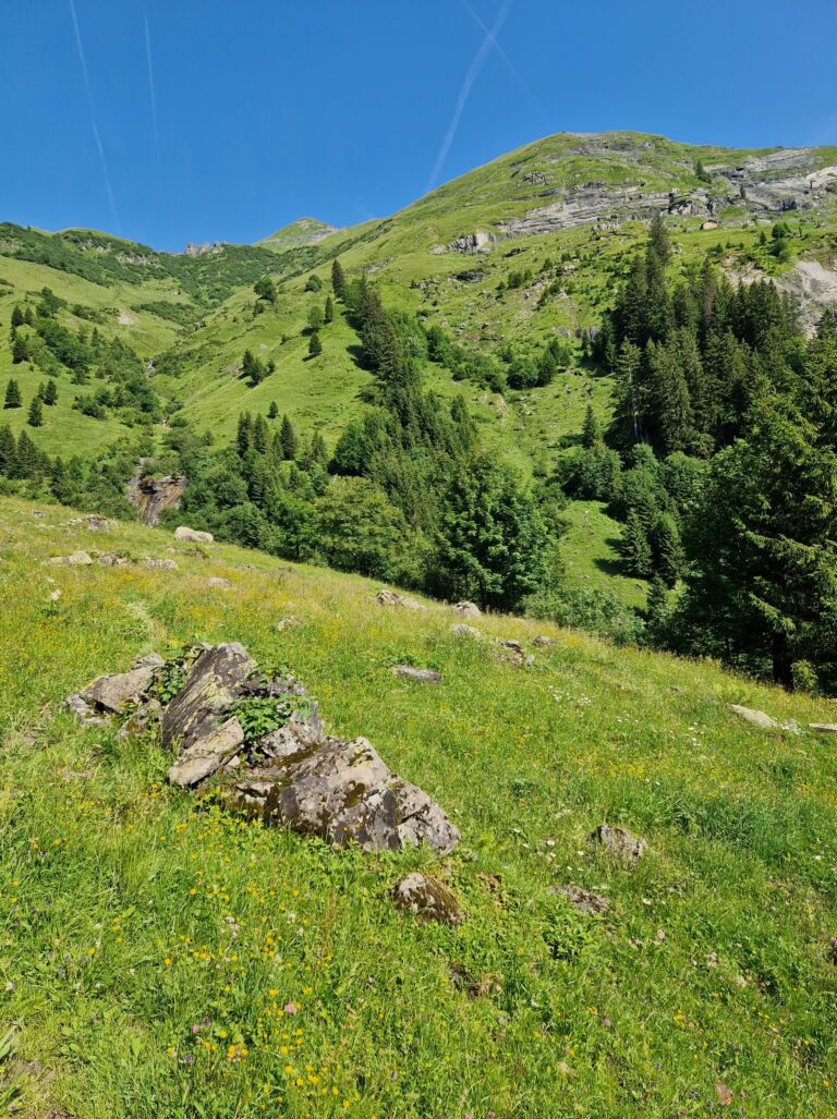Bild zum Lagerbericht «Recycling Day im Paradies»